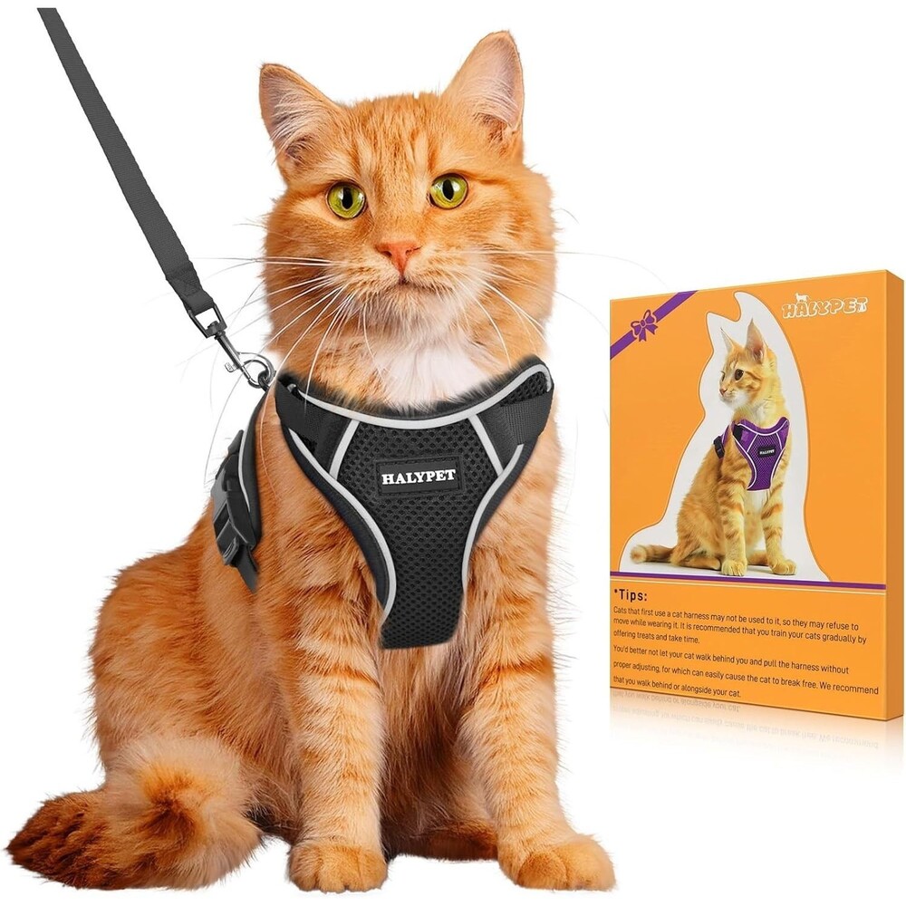 Halypet Cat Harness and Leash Set, Escape Proof, Black - Size Medium
